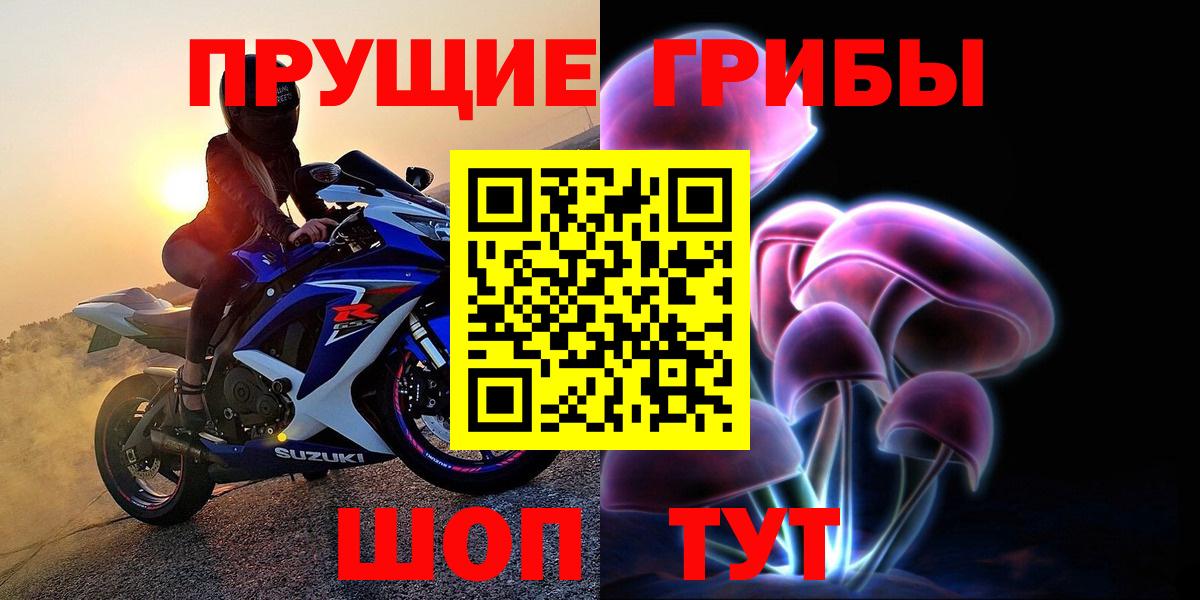 Галлюциногенные грибы Cubensis Ишим