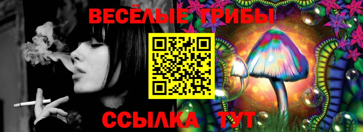 Псилоцибиновые грибы MAGIC MUSHROOMS  Псилоцибиновые грибы мухоморы  Вход с VPN  Ишим 